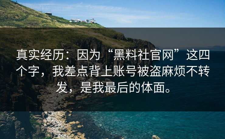 真实经历:因为“黑料社官网”这四个字,我差点背上账号被盗麻烦不转发,是我最后的体面。