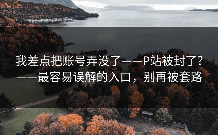 我差点把账号弄没了——P站被封了?——最容易误解的入口,别再被套路